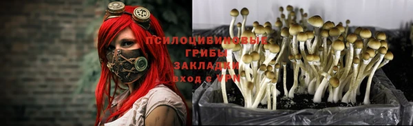 гашик Беломорск