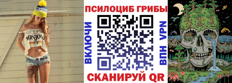 Галлюциногенные грибы Cubensis  где купить наркотик  Шагонар 